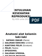 Penyuluhan Kesehatan Reproduksi