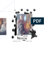 Neron