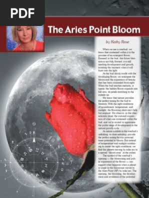 Aries Point Bloom_Kathy Rose