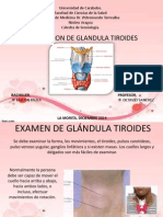 Examen de Glándula Tiroides