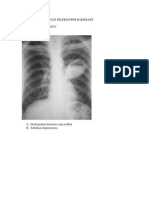 Contoh Soal Ujian Tulis Seleksi Ppds Radiologi