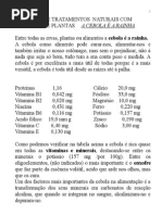 A CEBOLA É A RAINHA