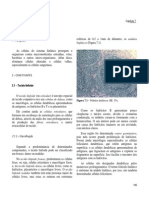 7Linfat.pdf