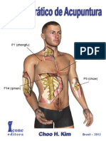 122635575 Manual Pratico de Acupuntura FRAGMENTOS PDF