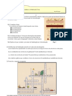 Ficha de Trabalho Assunto: Os Fósseis, A