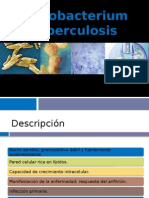 Mycobacterium Tuberculosis