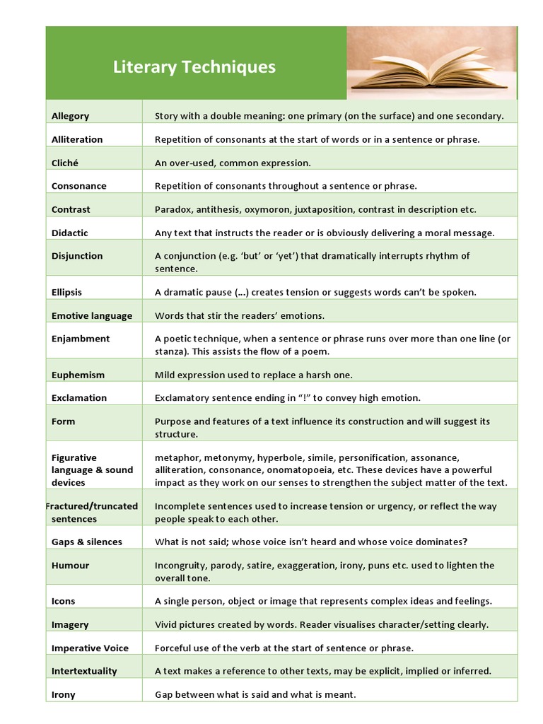 essay on the literary techniques