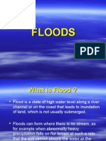 Understanding Floods: Causes, Impacts and Types