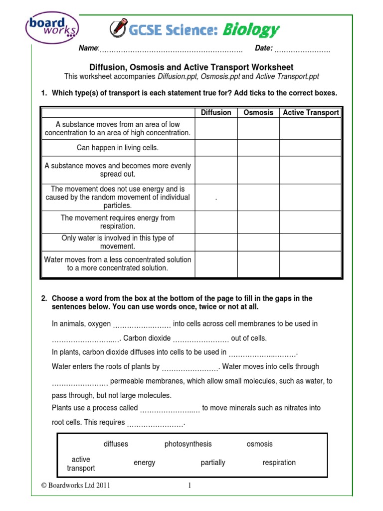Worksheets Diffusion And Osmosis Worksheet Answers diffusion osmosis and active transport worksheet 1yseudb diffusion