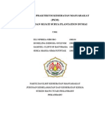 PROPOSAL PKM PT. PT. Meridan Surya Sejati Plantation