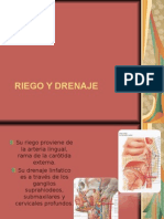 Riego, Drenaje e Inervacion de La Faringe.