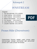 2 Downstream Process