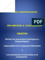 Inflamacion y Cicatrizacion