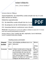 Proiect Didactic Riscul