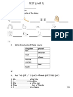 Test (Unit 7) : Singular Plural