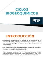 Ciclos Biogeoquimicos