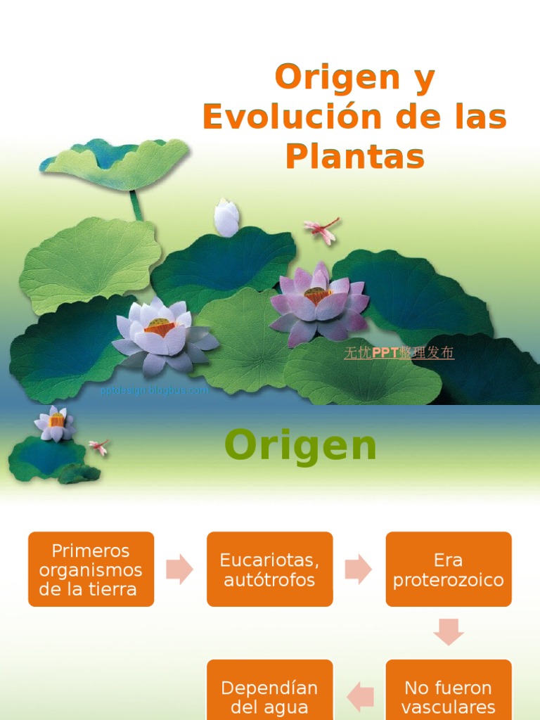 Origen y Evolución de las Plantas | PDF | Ciencias sociales | Ciencia y ...
