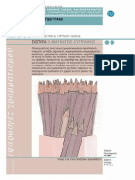 Δημιουργική γραφή για ενηλίκους PDF