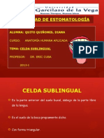 Celdilla Sub-lingual