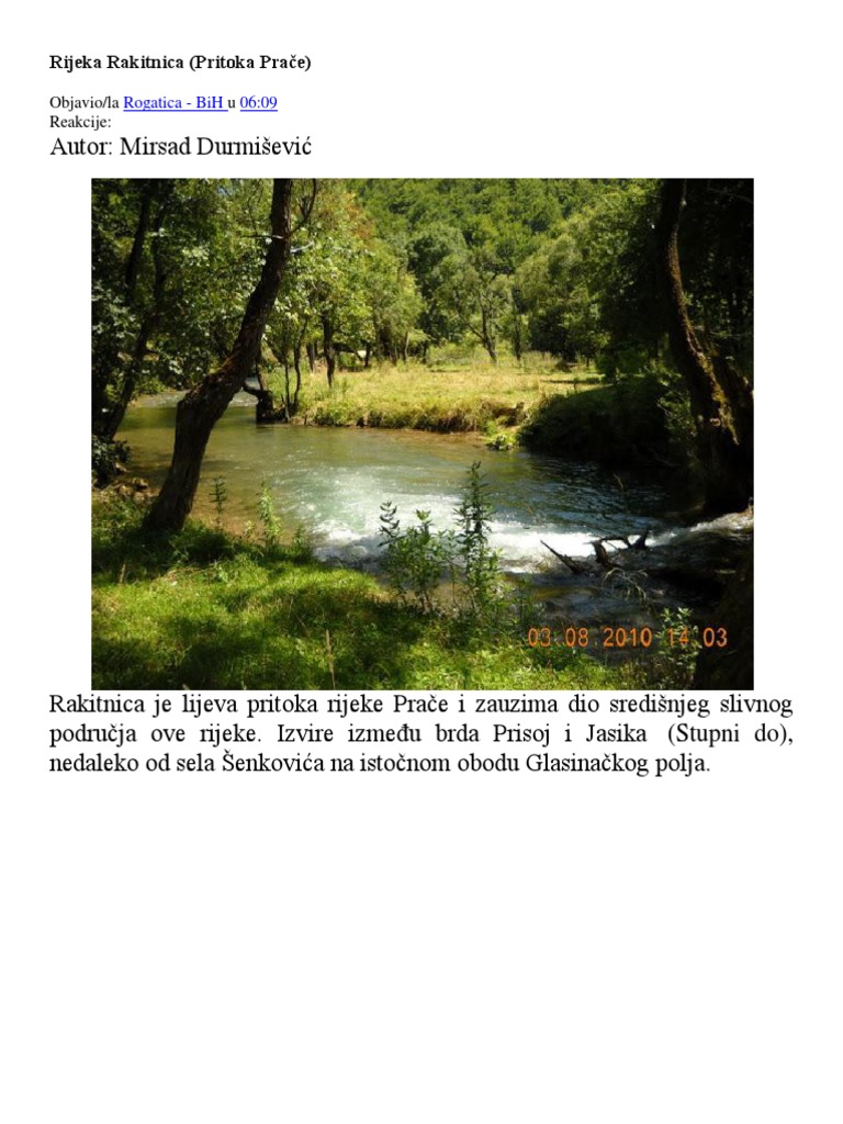 Rijeka Rakitnica PDF | PDF