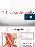Cuello Triangulos