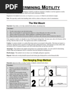 Hanging Drop Method for Microbial Motility | PDF | Applied And ...