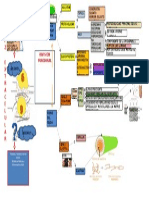 Mapa Mental Histologia 