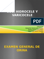 Ego, Hidrocele Y Varicocele: Urología Bobadilla Maldonado Jonatan Rosas Carrera Ana Elena Vega Reza Karen Ariadna 7°C