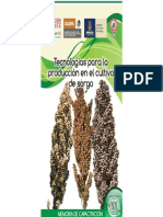 Tecnologias Para Cultivo Sorgo