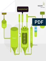 Enzymatic Biodiesel Process