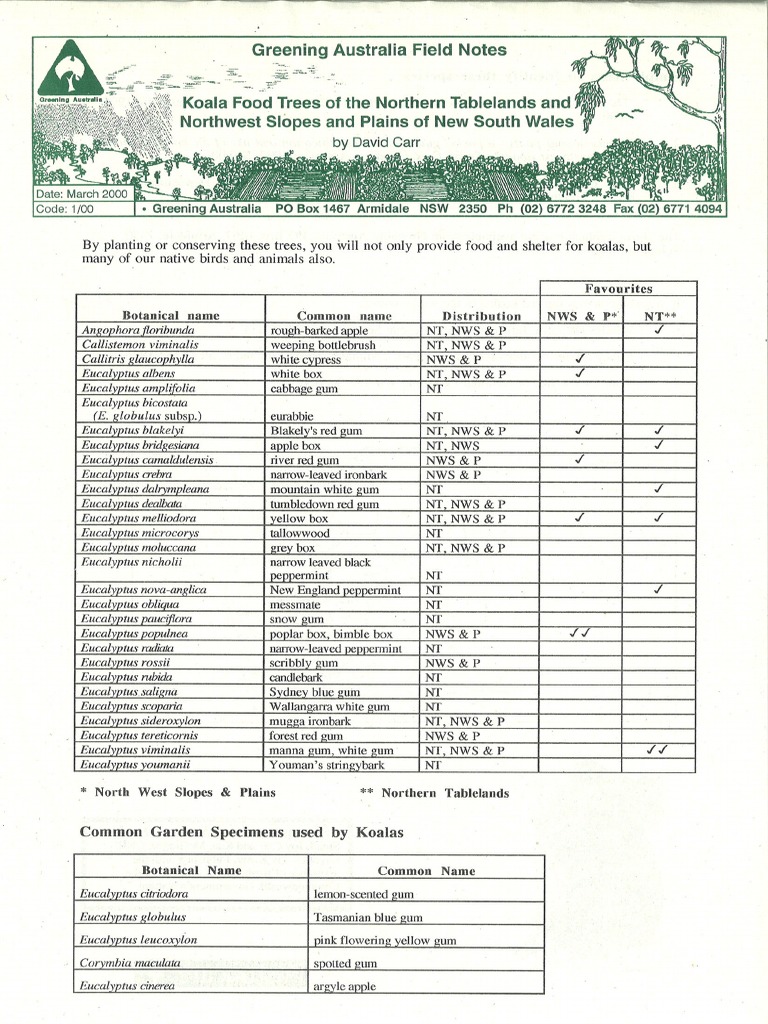 Koala Food Trees | PDF