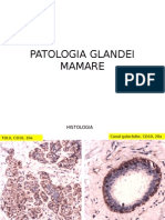 14.Patologie Glanda Mamara