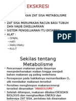 1 Sistem Ekskresi Manusia