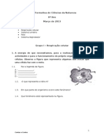 Ficha Formativa Nº4 de Ciências da Natureza 6o ano Mar2013.docx