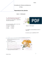 Ficha Formativa de Ciências da Natureza Plantas.docx