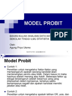 Model Probit 2013