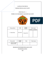 Biodiesel PDF