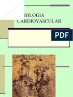 Fisiología cardiovascular: circulación sanguínea y funcionamiento del corazón