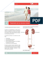 ratamiento_de_los_calculos_renales_y_ureterales.pdf