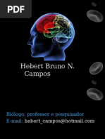 Power Point Asperger