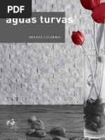 Aguas Turvas - Helder Caldeira