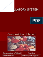 Intervensi Circulatory System