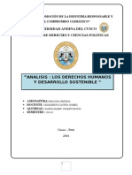 Analisis de Los Derechos Humanos y Desarrollo Sostenible