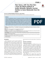 2014-Dendrogramma New Phyla