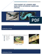 PRESENTACIÓN  the Phylogeny of Lizards and Snakes