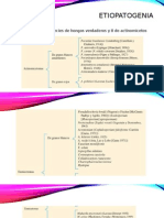 Micetomas Micología Medica