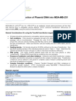 MDA-MB-231 On Letterhead Final