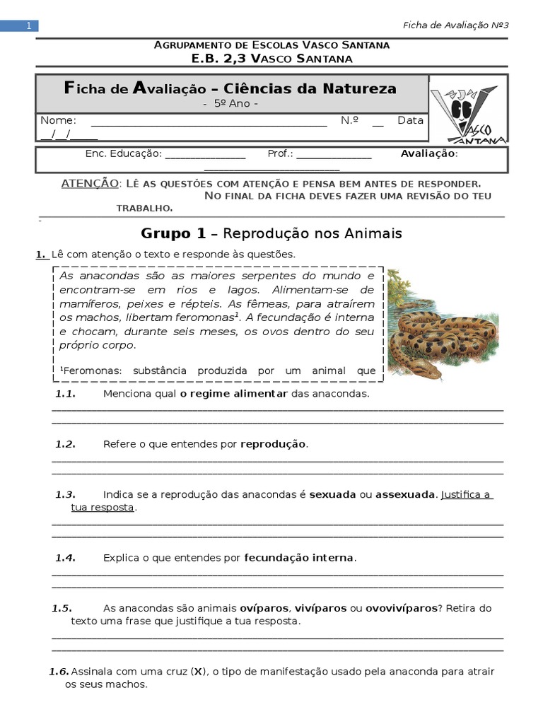 Atividades sobre Reprodução Animal 3º Ano | PDF | Reprodução | Sexo
