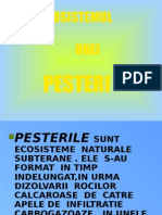 Pesteri