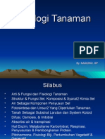 Fisiologi Tumb